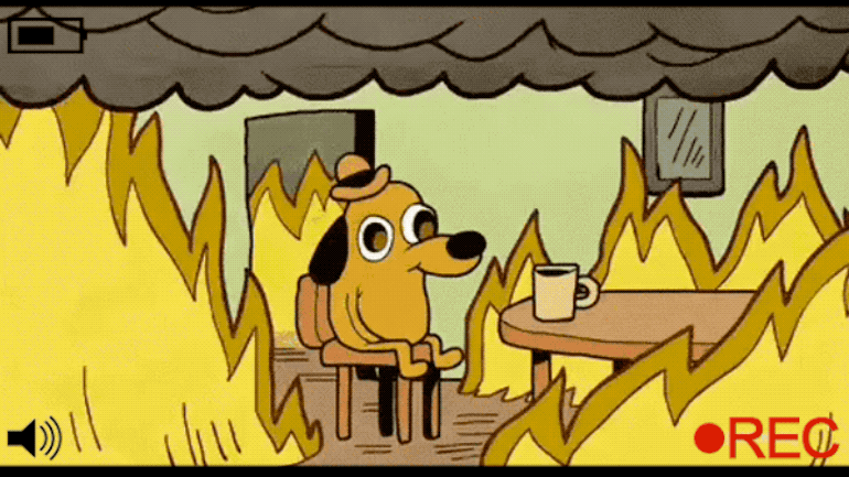 DC Council "This is Fine"